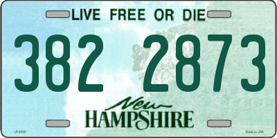NH license plate 3822873
