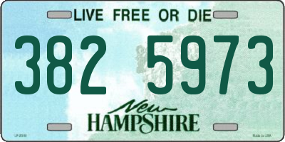 NH license plate 3825973