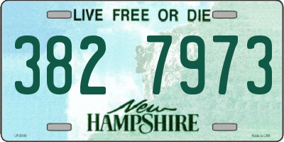 NH license plate 3827973