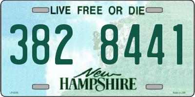 NH license plate 3828441