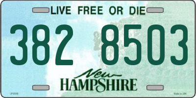 NH license plate 3828503