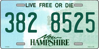 NH license plate 3828525