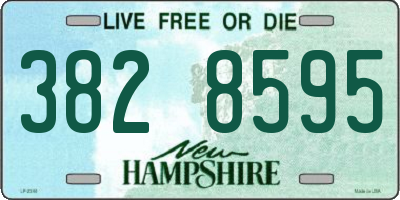 NH license plate 3828595