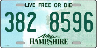 NH license plate 3828596