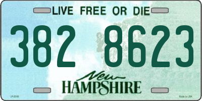 NH license plate 3828623