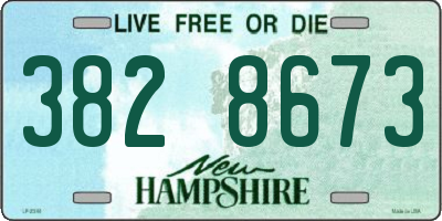 NH license plate 3828673