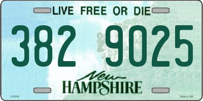NH license plate 3829025