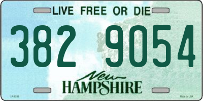 NH license plate 3829054