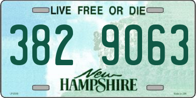 NH license plate 3829063