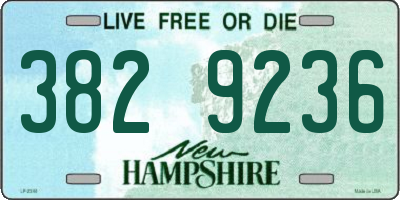NH license plate 3829236