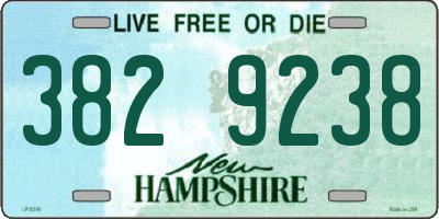 NH license plate 3829238