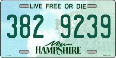 NH license plate 3829239