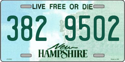 NH license plate 3829502