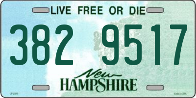 NH license plate 3829517
