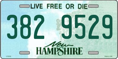 NH license plate 3829529