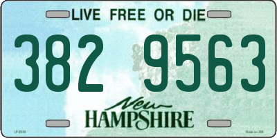NH license plate 3829563