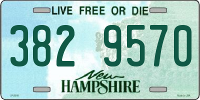 NH license plate 3829570