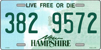 NH license plate 3829572