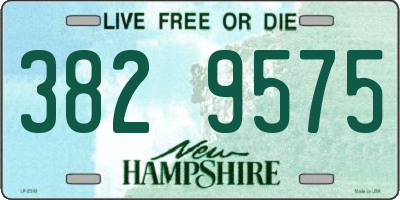 NH license plate 3829575