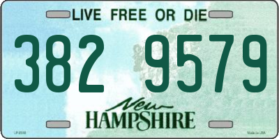 NH license plate 3829579