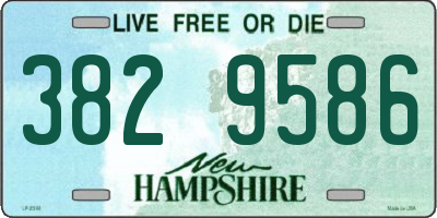 NH license plate 3829586