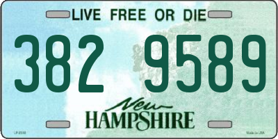NH license plate 3829589