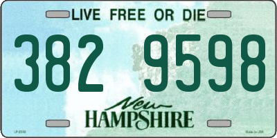NH license plate 3829598