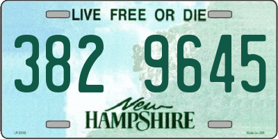 NH license plate 3829645