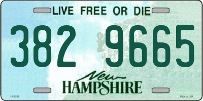 NH license plate 3829665
