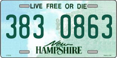 NH license plate 3830863