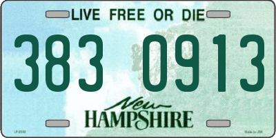 NH license plate 3830913