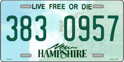 NH license plate 3830957