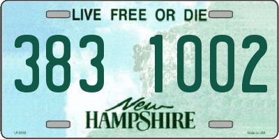 NH license plate 3831002