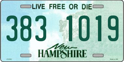 NH license plate 3831019