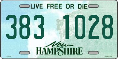 NH license plate 3831028