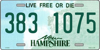 NH license plate 3831075