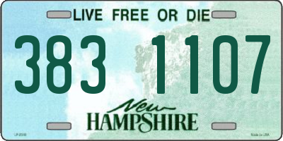 NH license plate 3831107