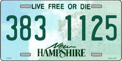 NH license plate 3831125