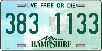 NH license plate 3831133