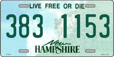 NH license plate 3831153