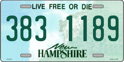 NH license plate 3831189