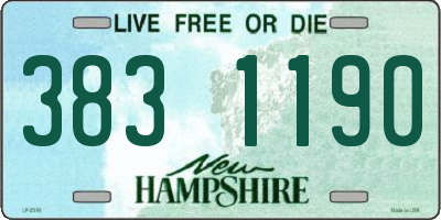 NH license plate 3831190