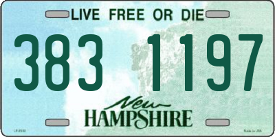 NH license plate 3831197