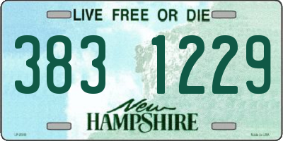 NH license plate 3831229
