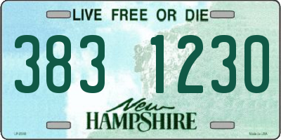 NH license plate 3831230
