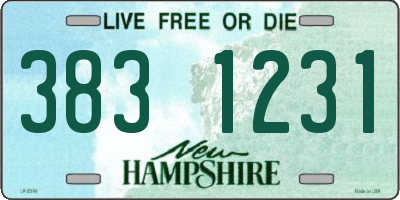 NH license plate 3831231