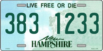 NH license plate 3831233