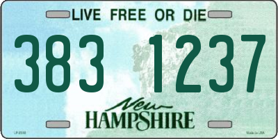 NH license plate 3831237