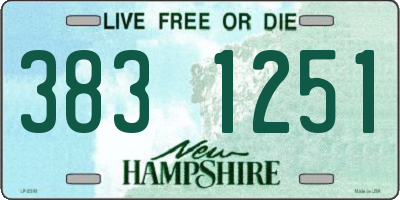 NH license plate 3831251