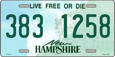 NH license plate 3831258